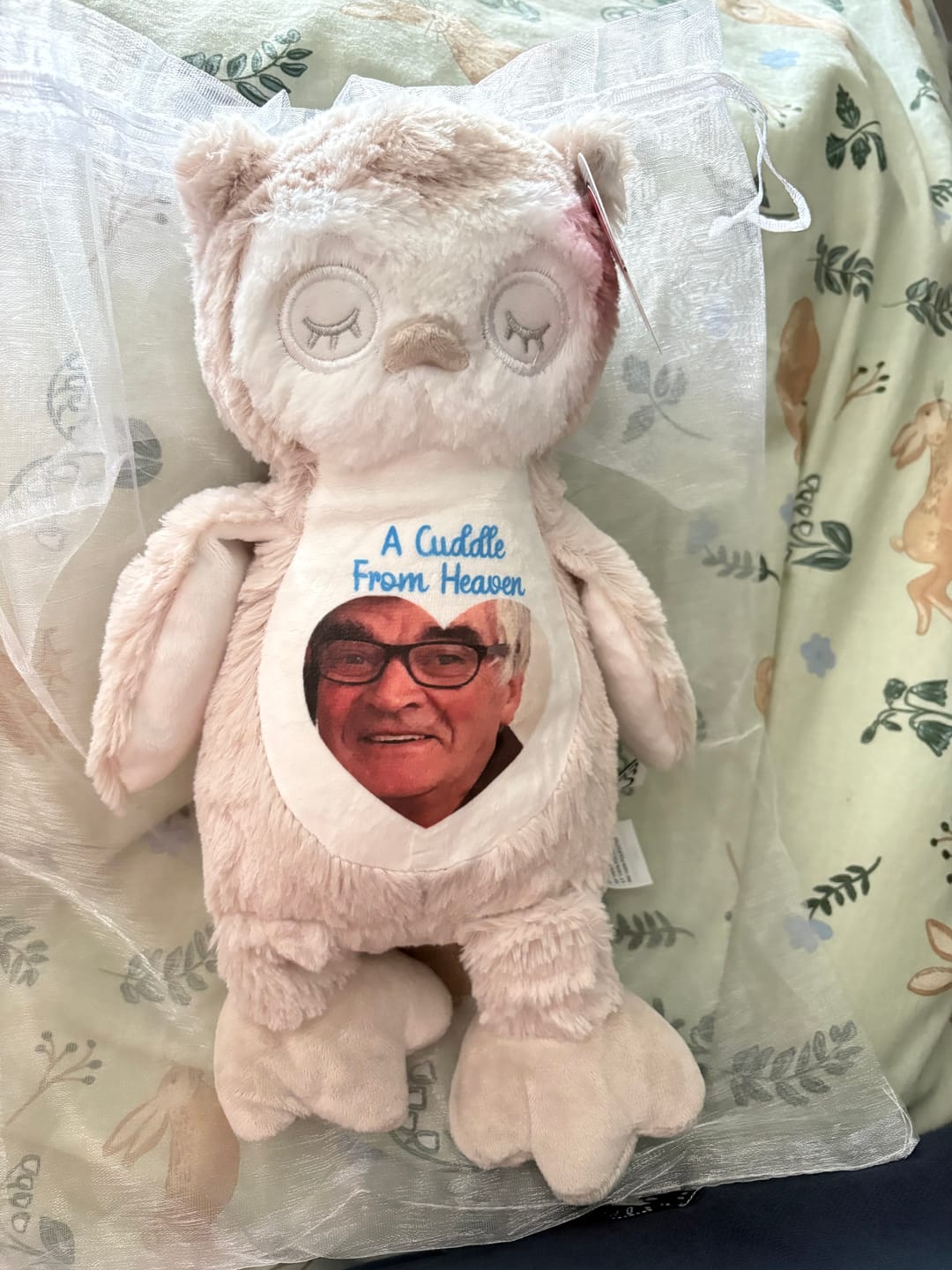 Customer photo review of A Cuddle from Heaven Personalised Photo Teddy Bear