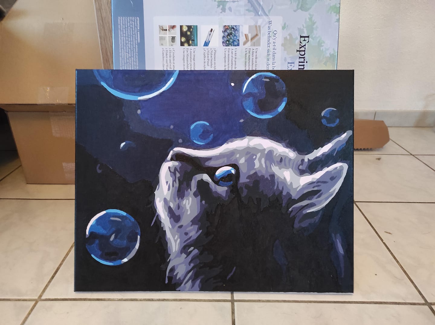 Customer photo review of Chat et Bulles bleues