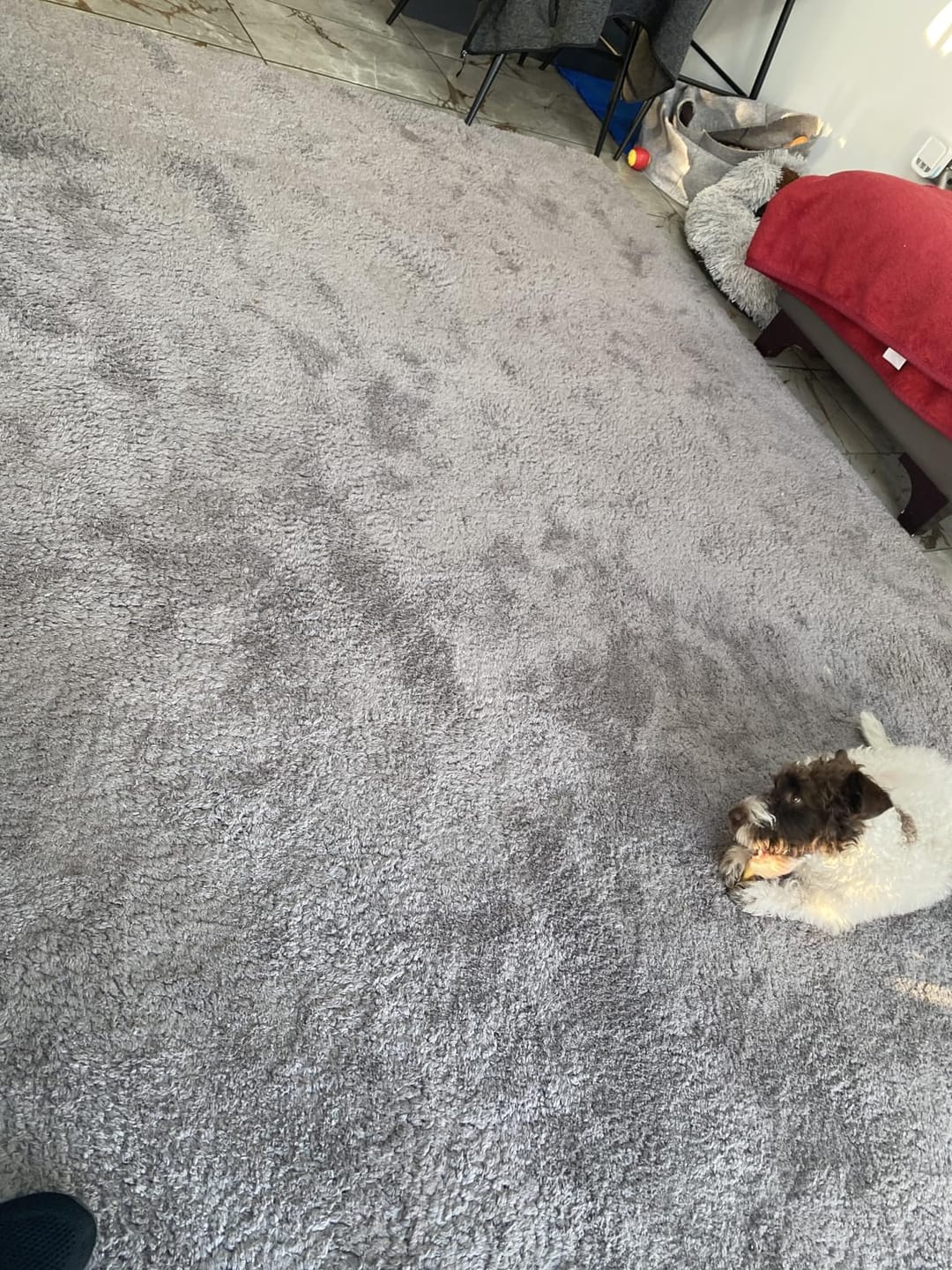 Customer photo review of California Two-Tone Shaggy Rug - Dark Grey