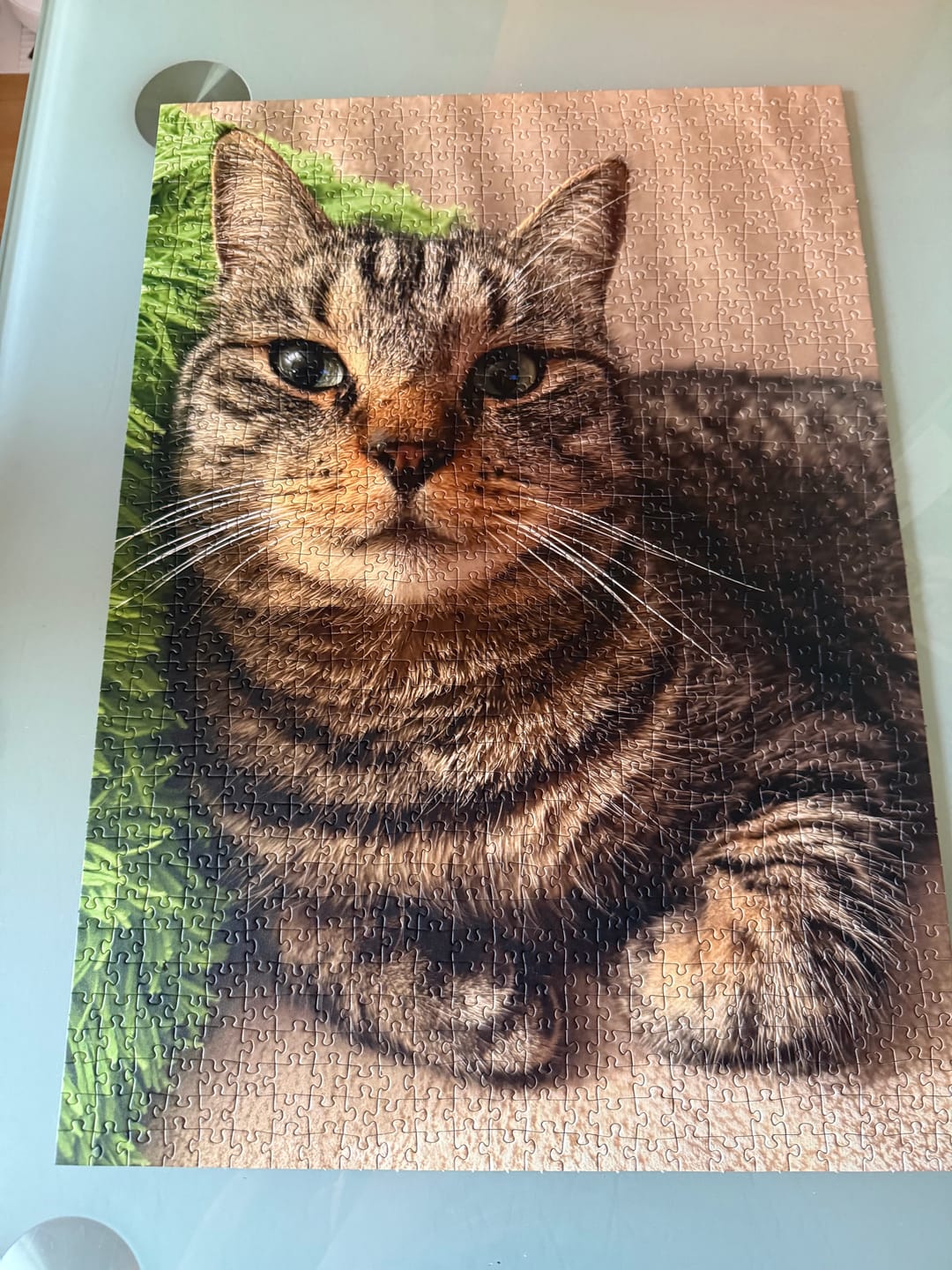 Customer photo review of Dein Lieblingsfoto als Puzzle