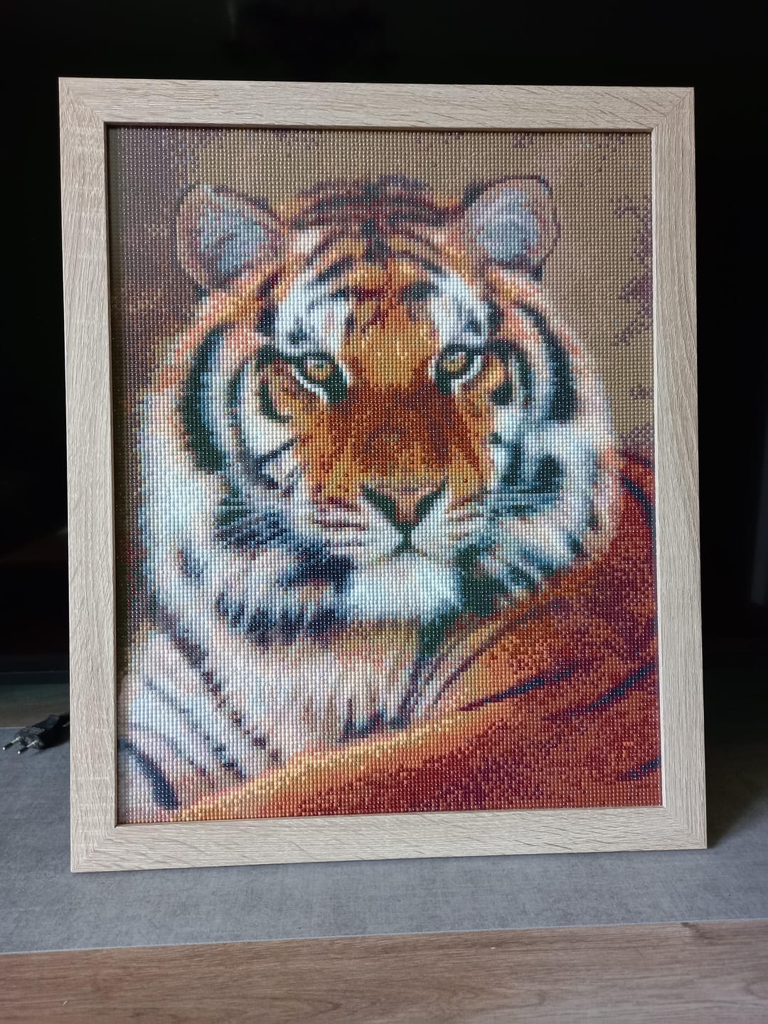Customer photo review of Broderie Diamant - Regard de Tigre