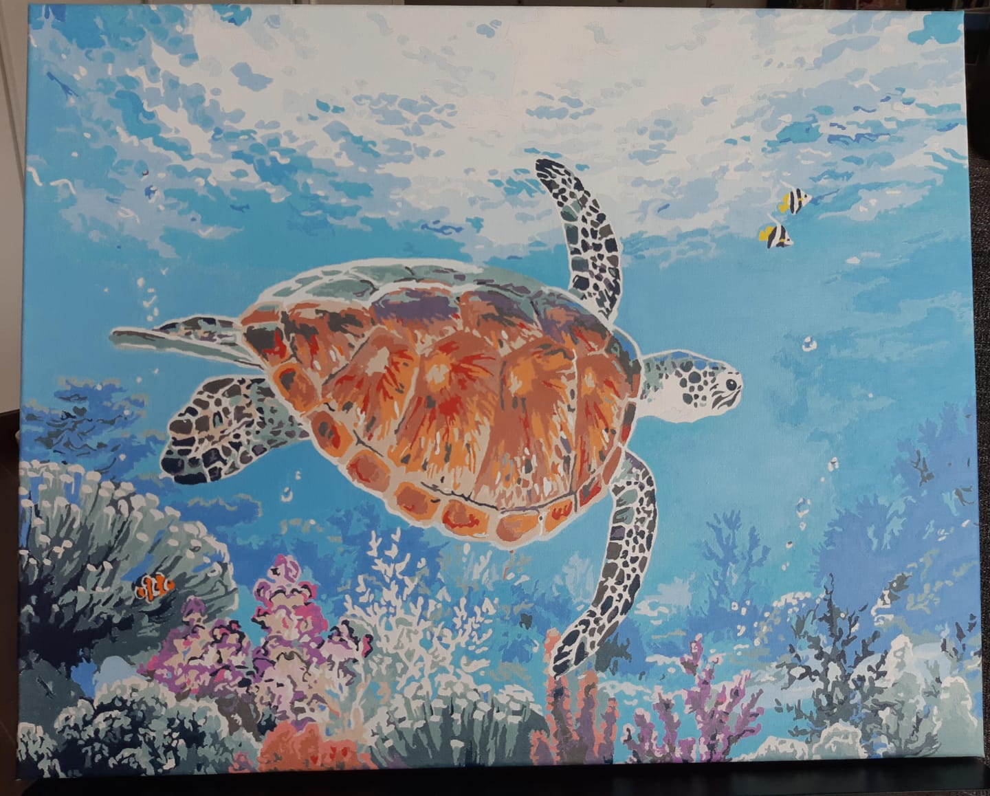 Customer photo review of Tortue en ballade