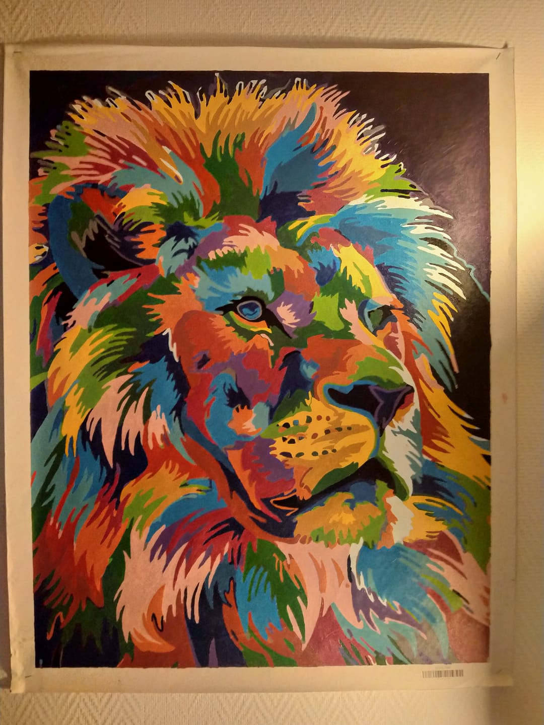 Customer photo review of Lion Pop Art 2