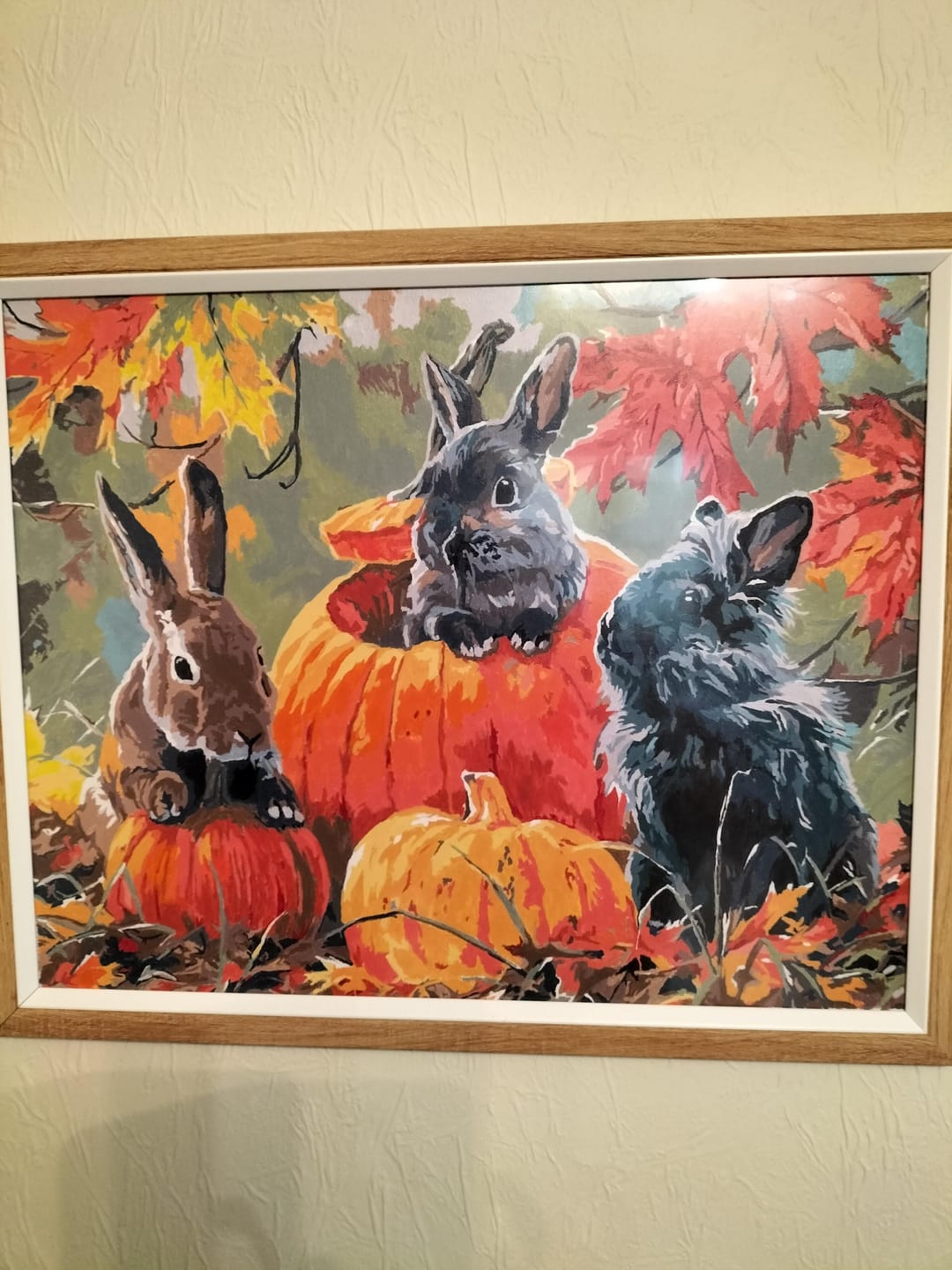 Customer photo review of Trio de Lapins