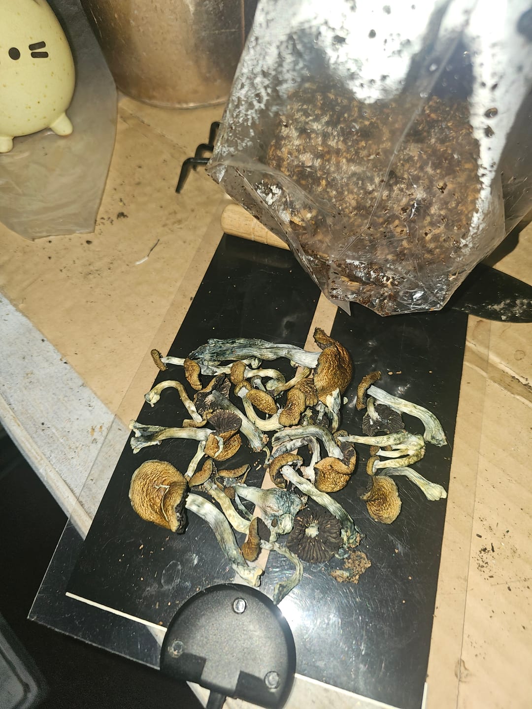 Customer photo review of Ayekan Box