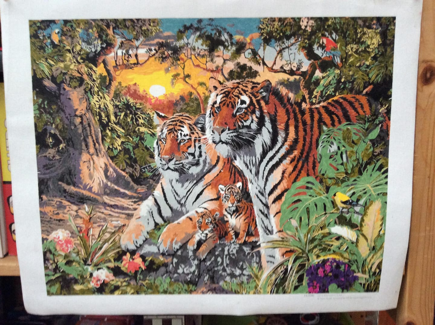 Customer photo review of Famille de Tigre