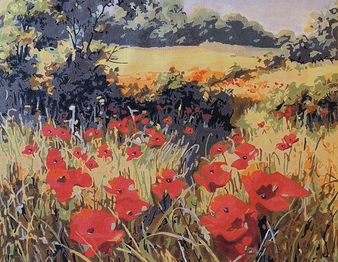 Customer photo review of Coquelicots champêtres
