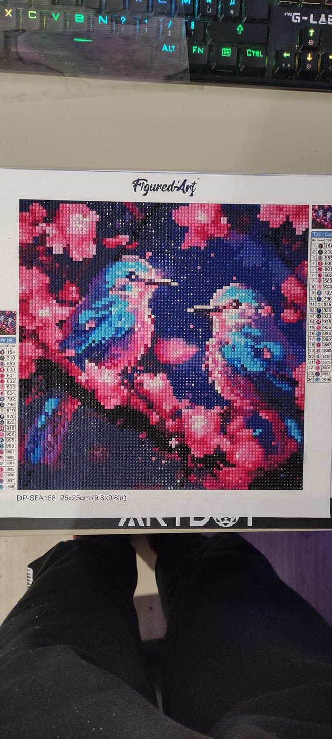 Customer photo review of Mini Diamond Painting 25x25cm - Mésanges Bleues scintillantes