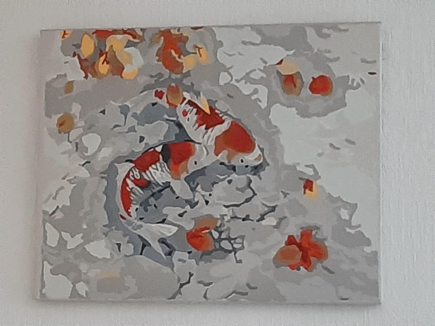 Customer photo review of Duo de Carpes Koi