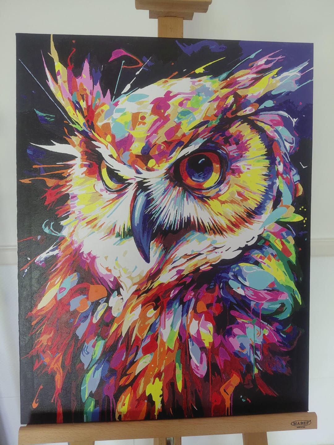 Customer photo review of Hibou Coloré Abstrait