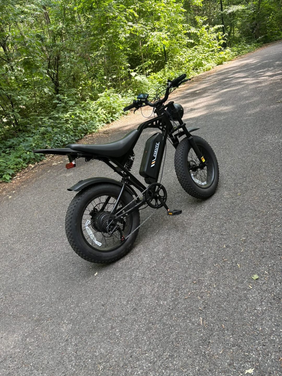 Customer photo review of Eskute V202 Retro E-Bike