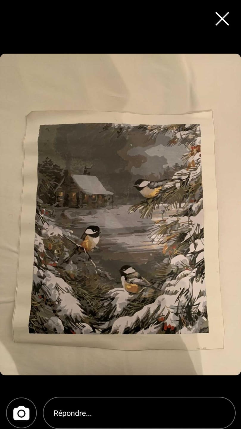 Customer photo review of Trois Oiseaux sous la Neige