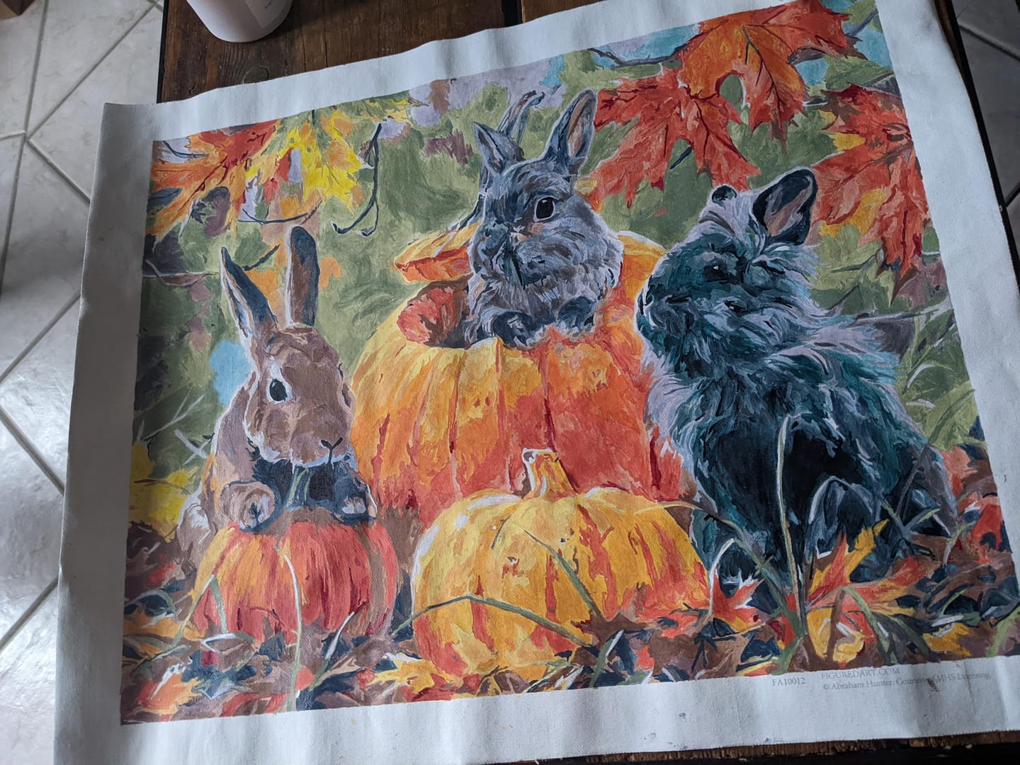 Customer photo review of Trio de Lapins