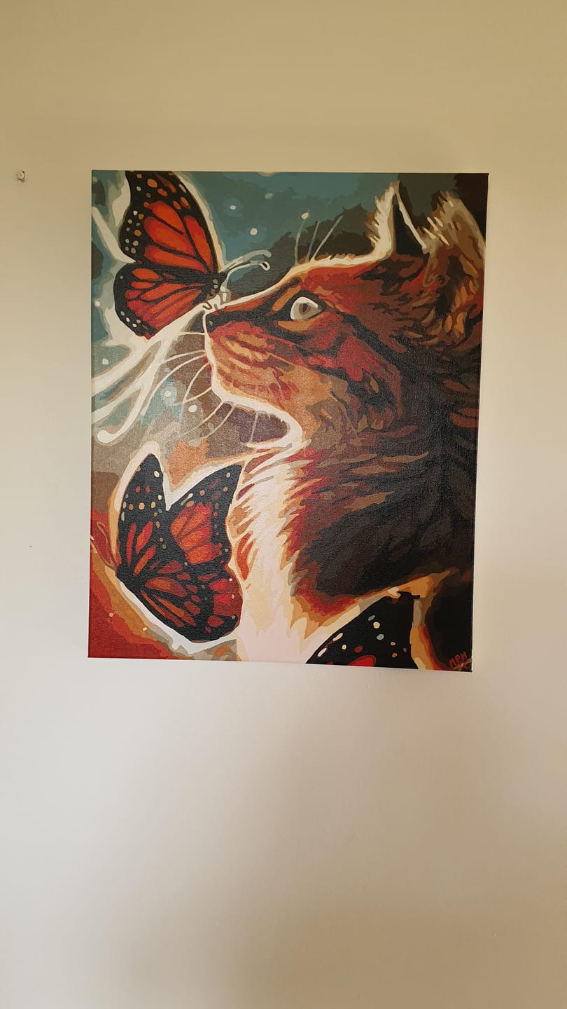 Customer photo review of Le Chat et les Papillons
