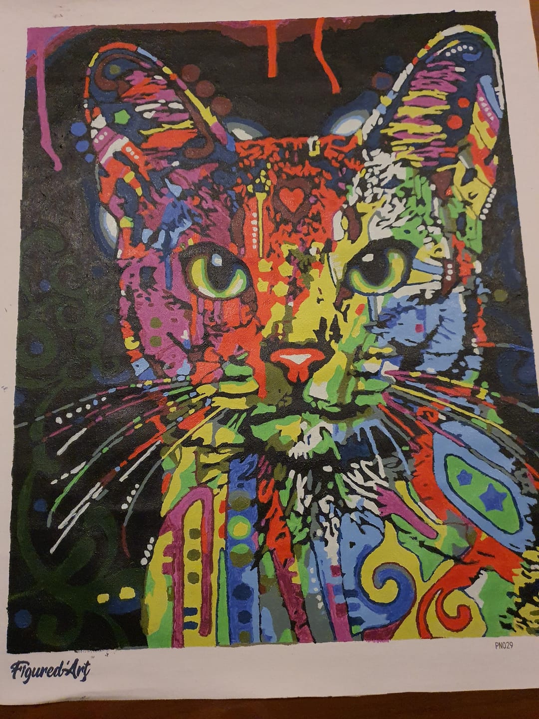 Customer photo review of Chat Fractal Moderne