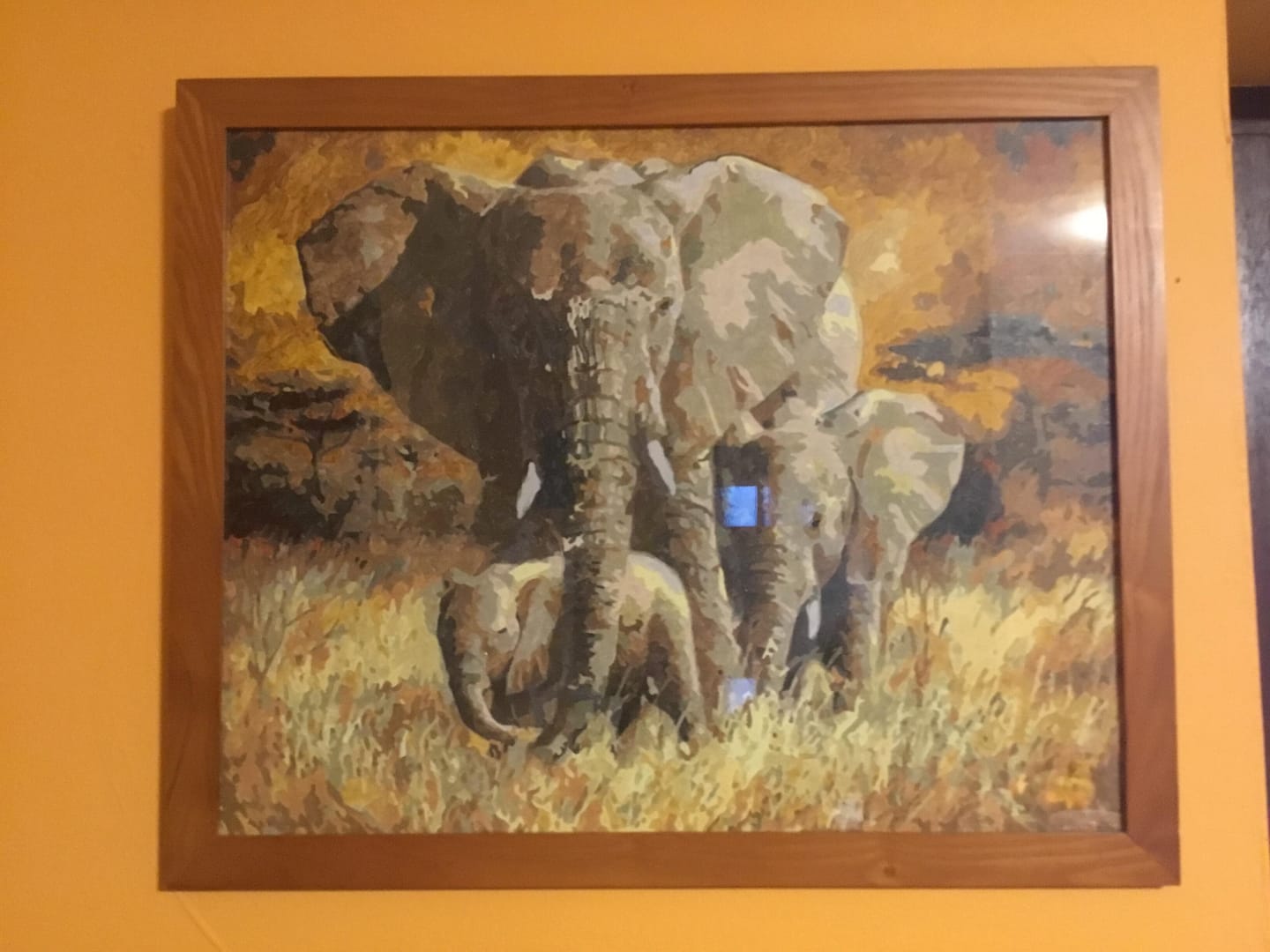 Customer photo review of La Famille Eléphants