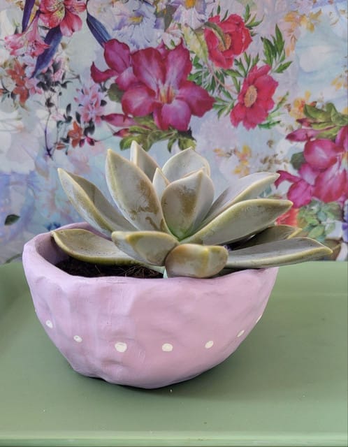 Customer photo review of Kit de Poterie Argile Autodurcissante