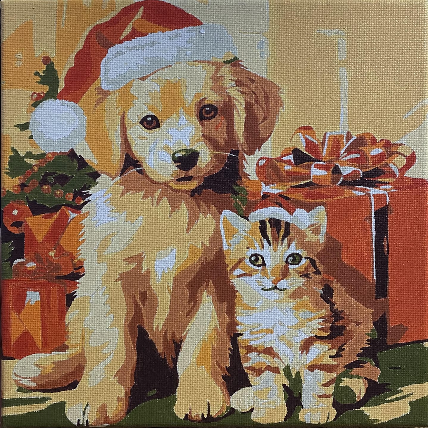 Customer photo review of Mini Peinture par Numéros 20x20cm avec cadre Chat et Chien de Noël