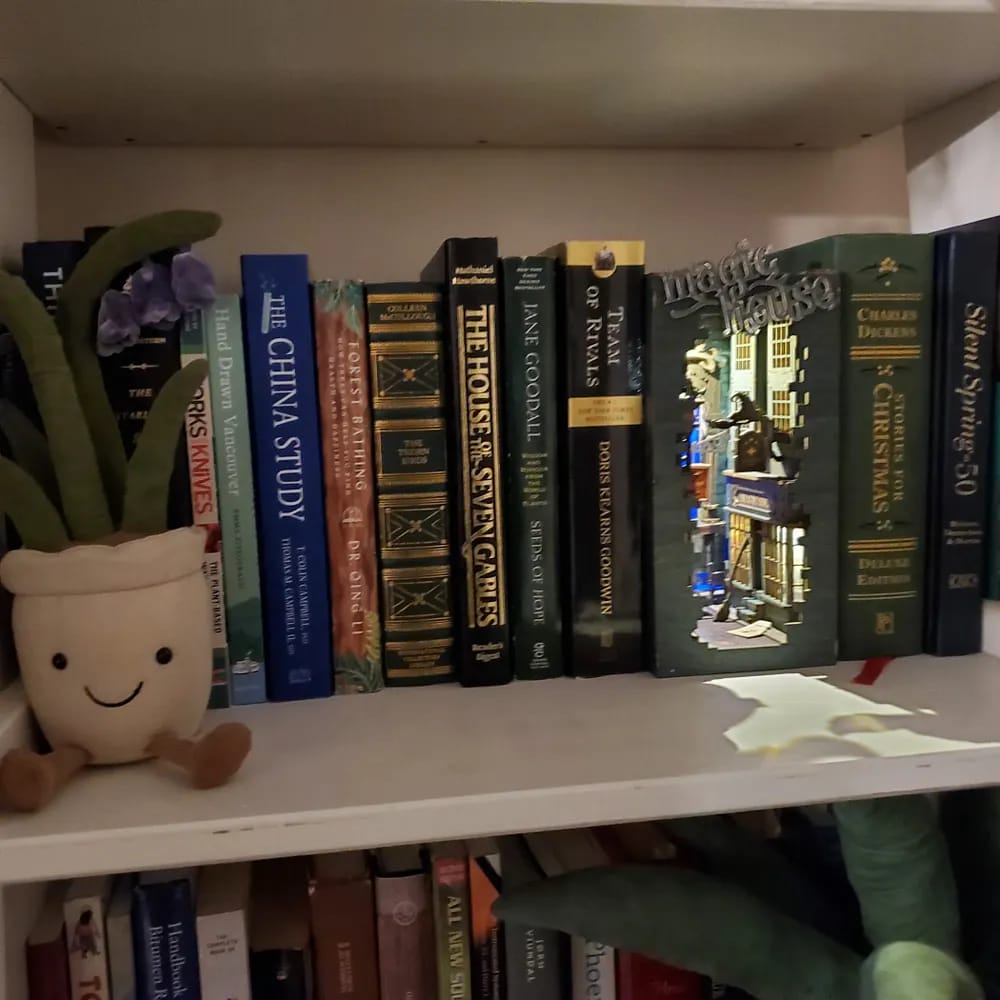 Customer photo review of Book Nook - Maison Magique