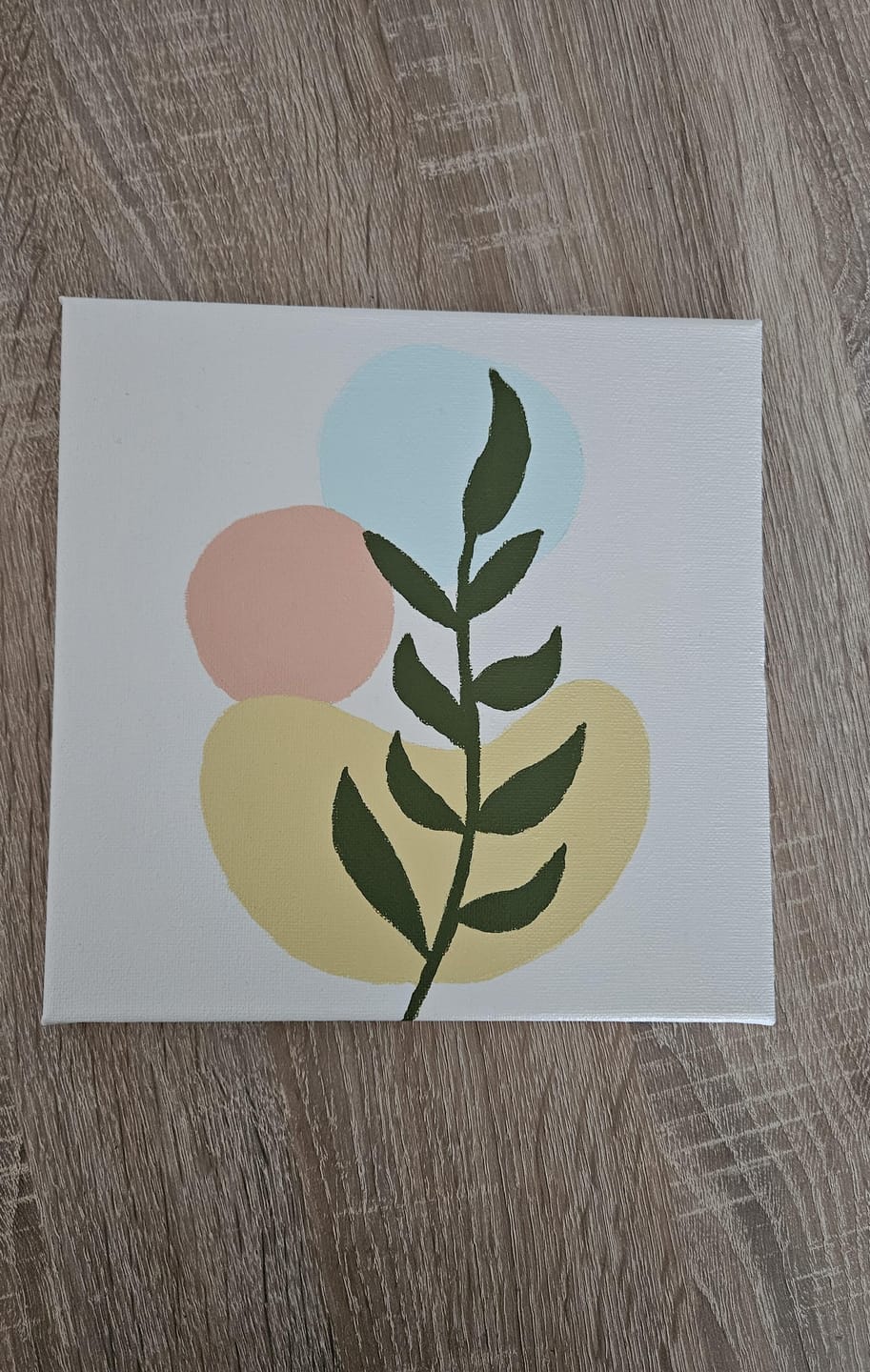 Customer photo review of Mini Peinture par Numéros 20x20cm avec cadre Plante