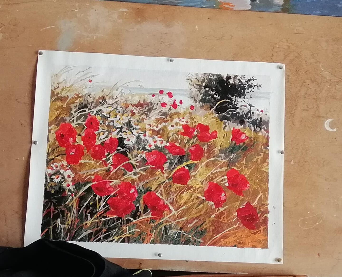 Customer photo review of Fleurs champêtres