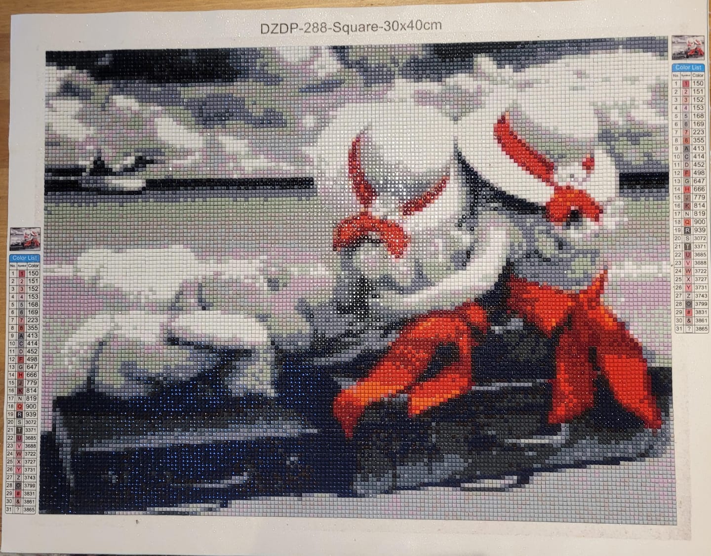 Customer photo review of Broderie Diamant - Couples Mignons