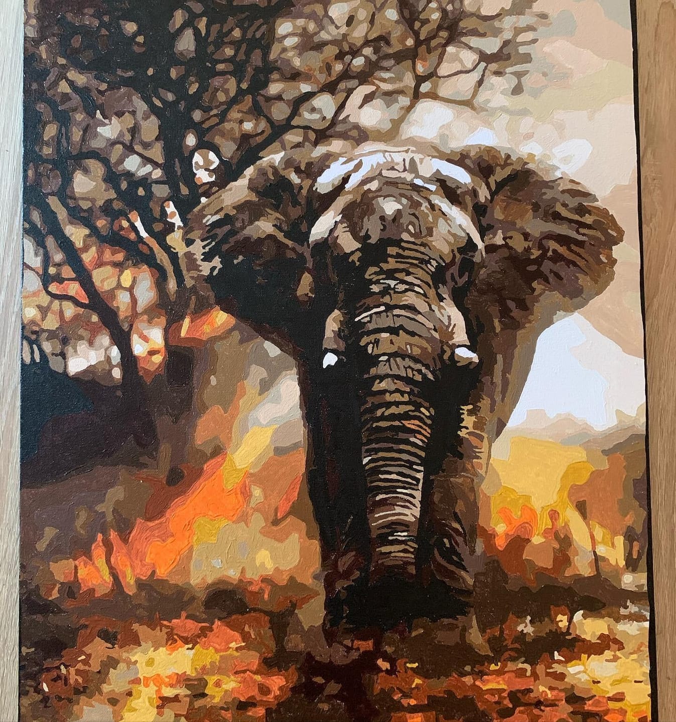Customer photo review of Eléphant solitaire