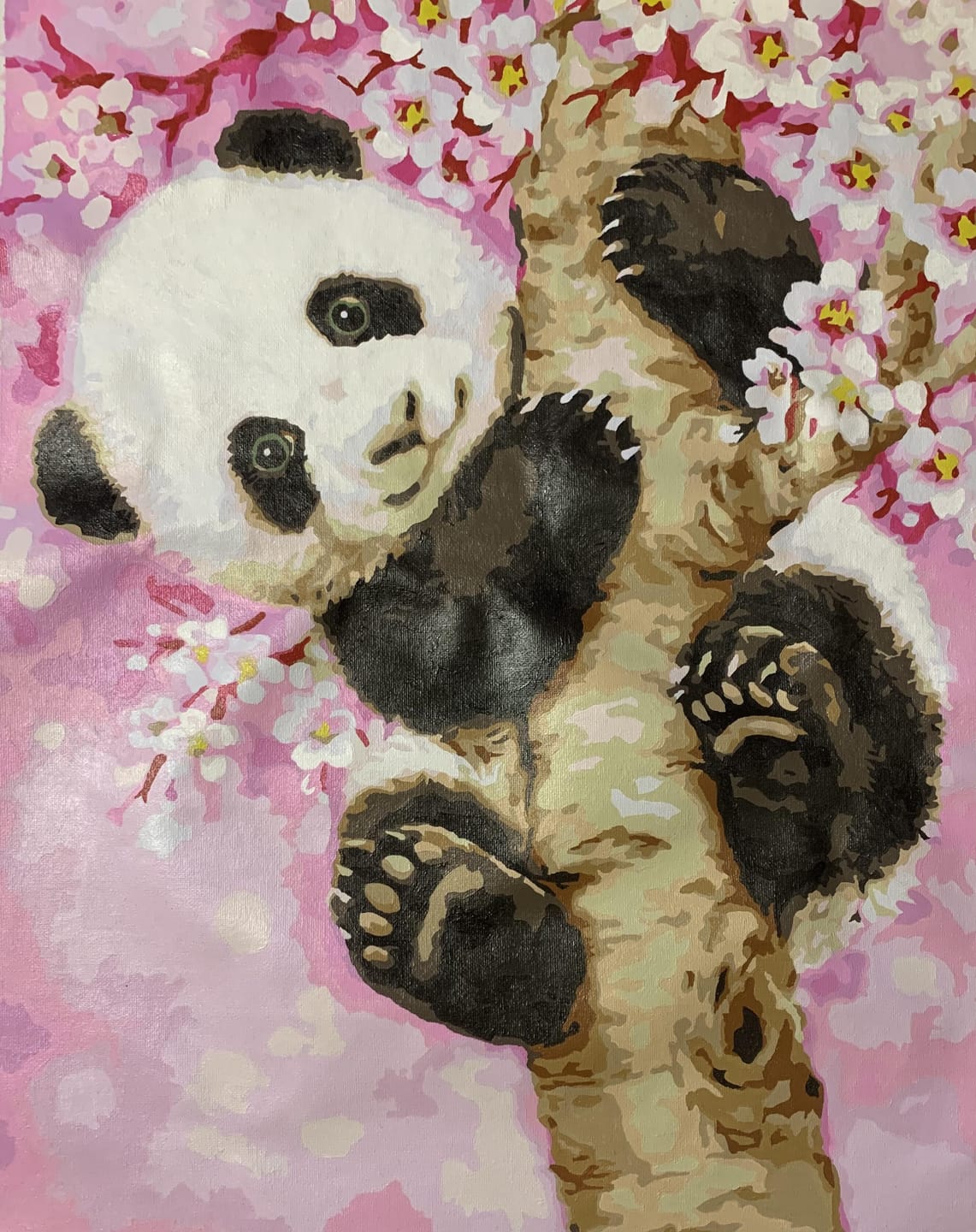 Customer photo review of Bébé Panda