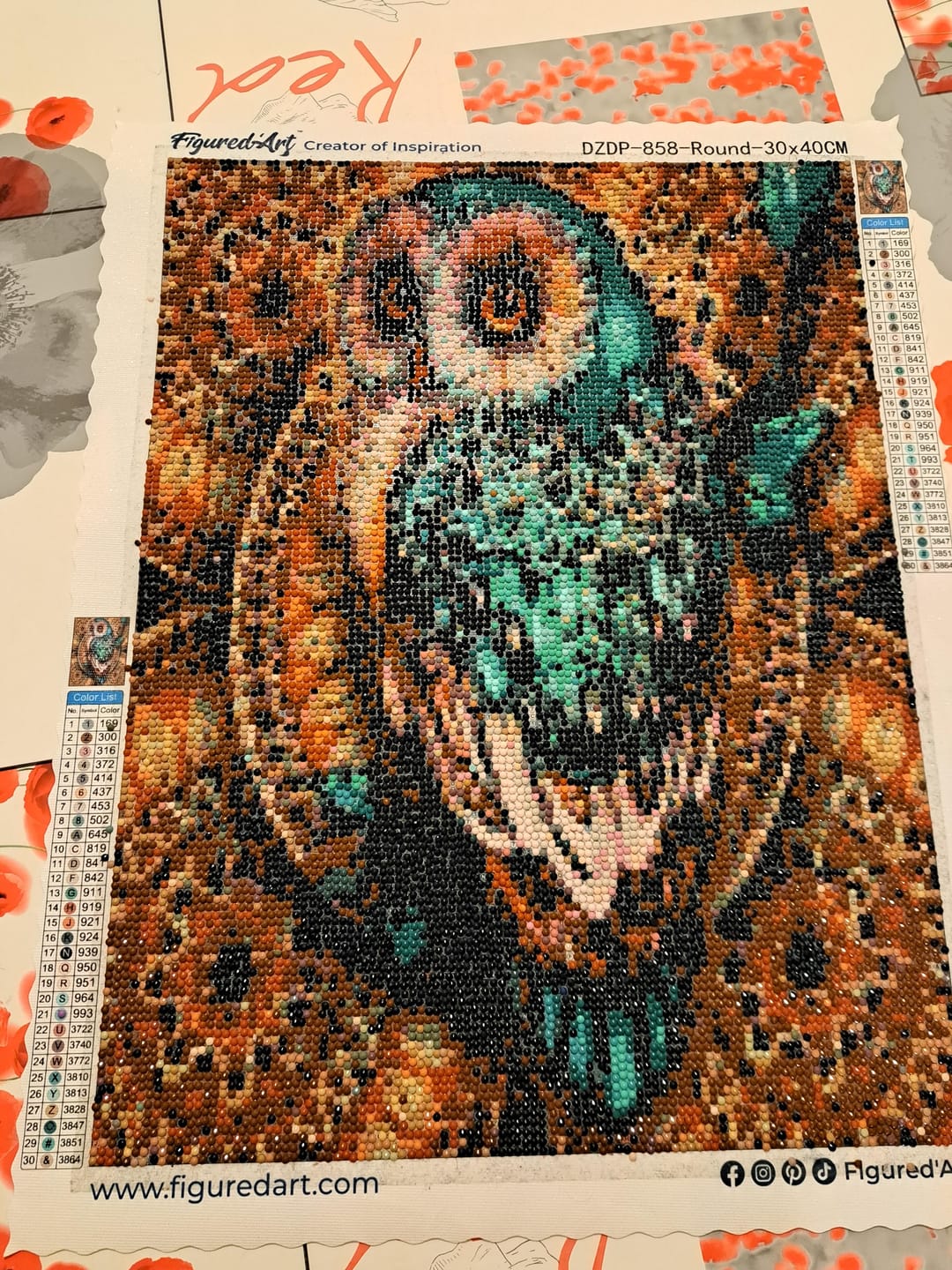 Customer photo review of Broderie Diamant - Chouette précieuse