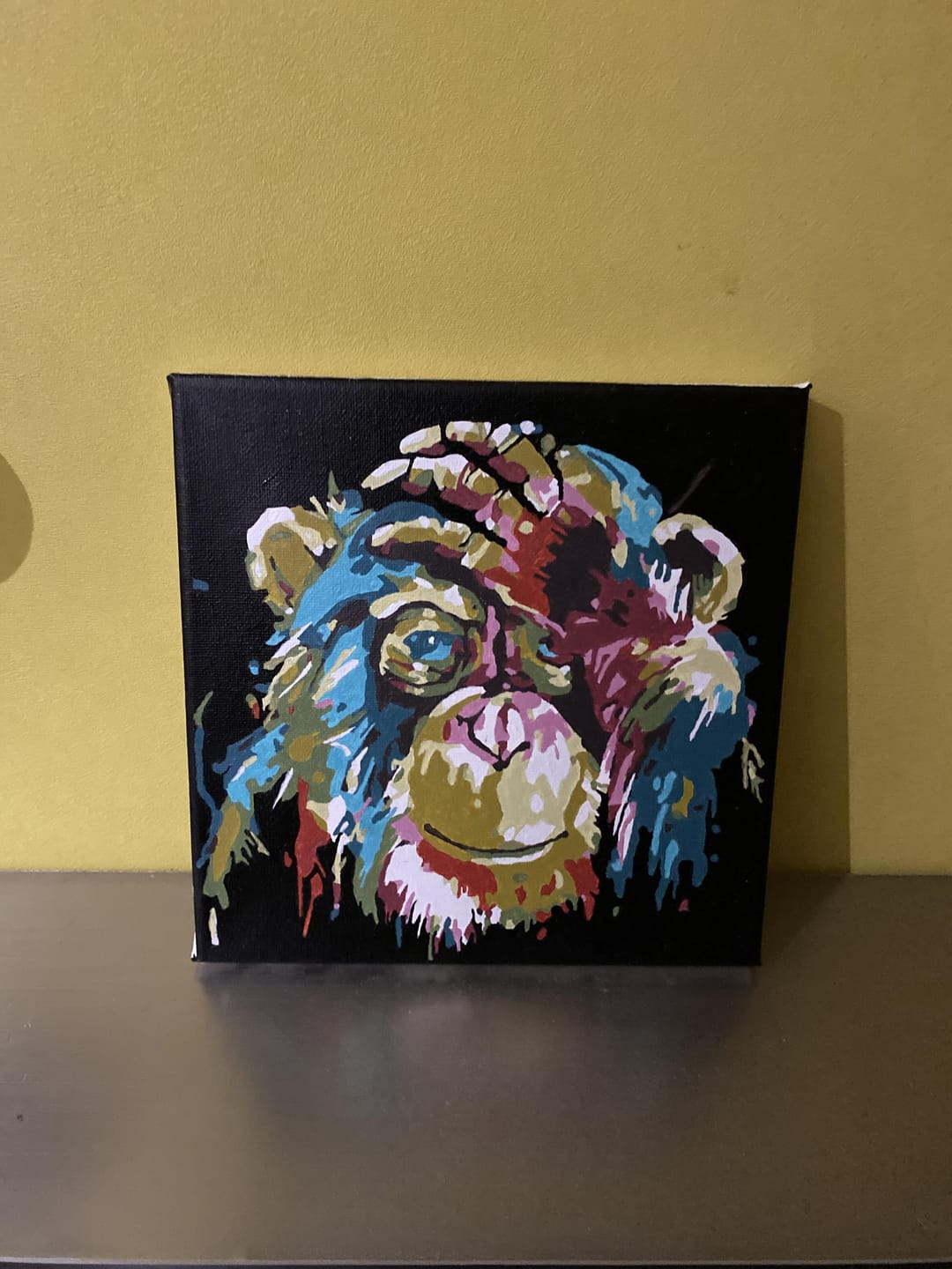 Customer photo review of Mini Peinture par Numéros 20x20cm avec cadre Babouin Pop Art