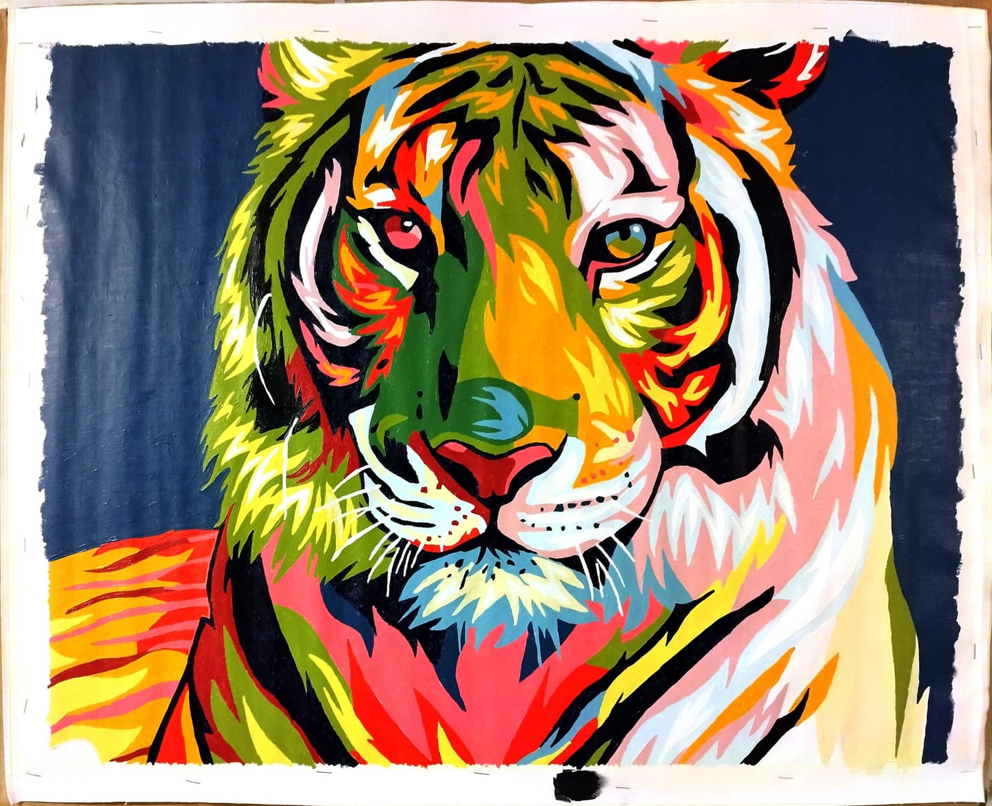 Customer photo review of Tigre Pop Art 2