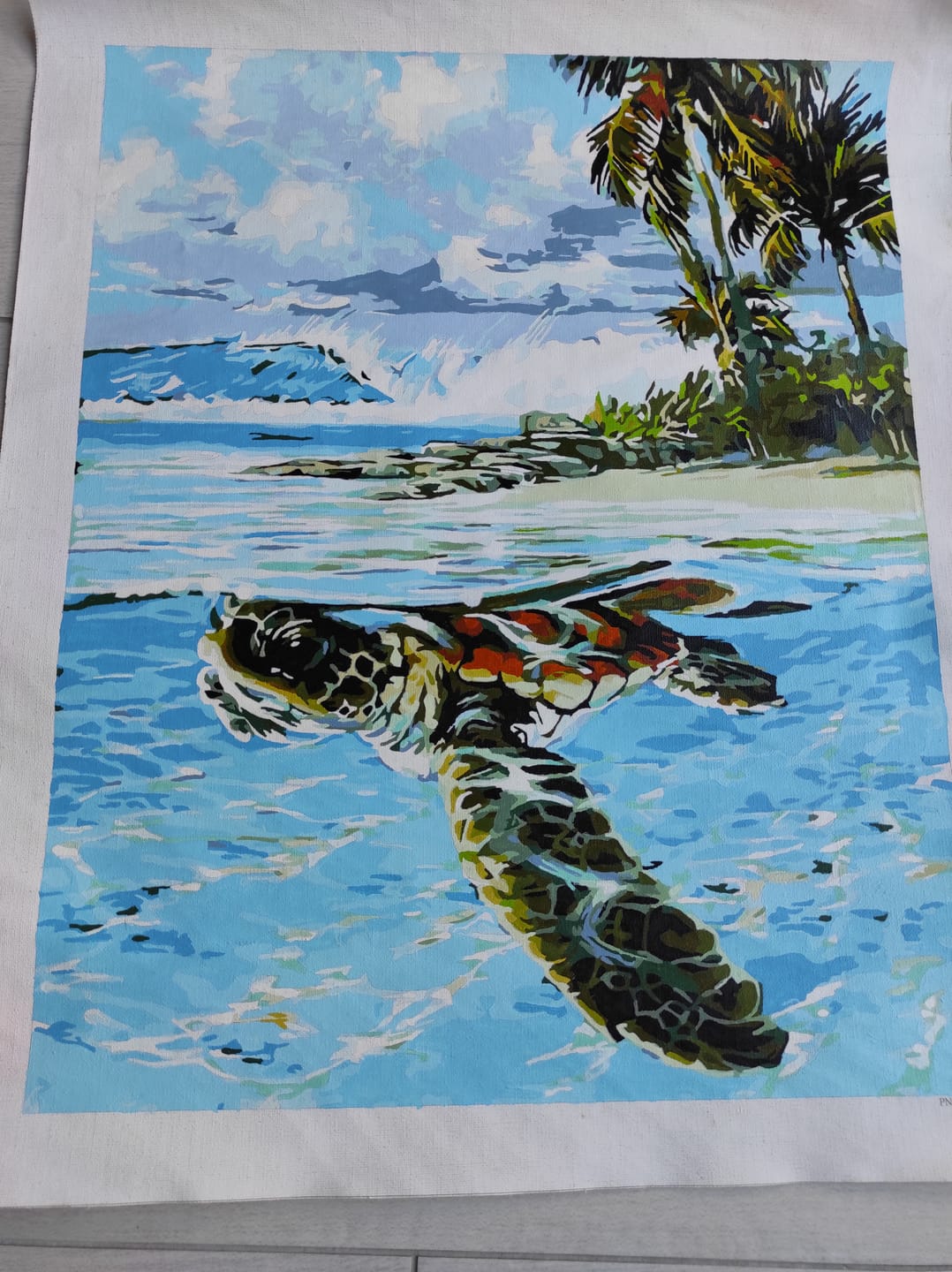 Customer photo review of Tortue détendue