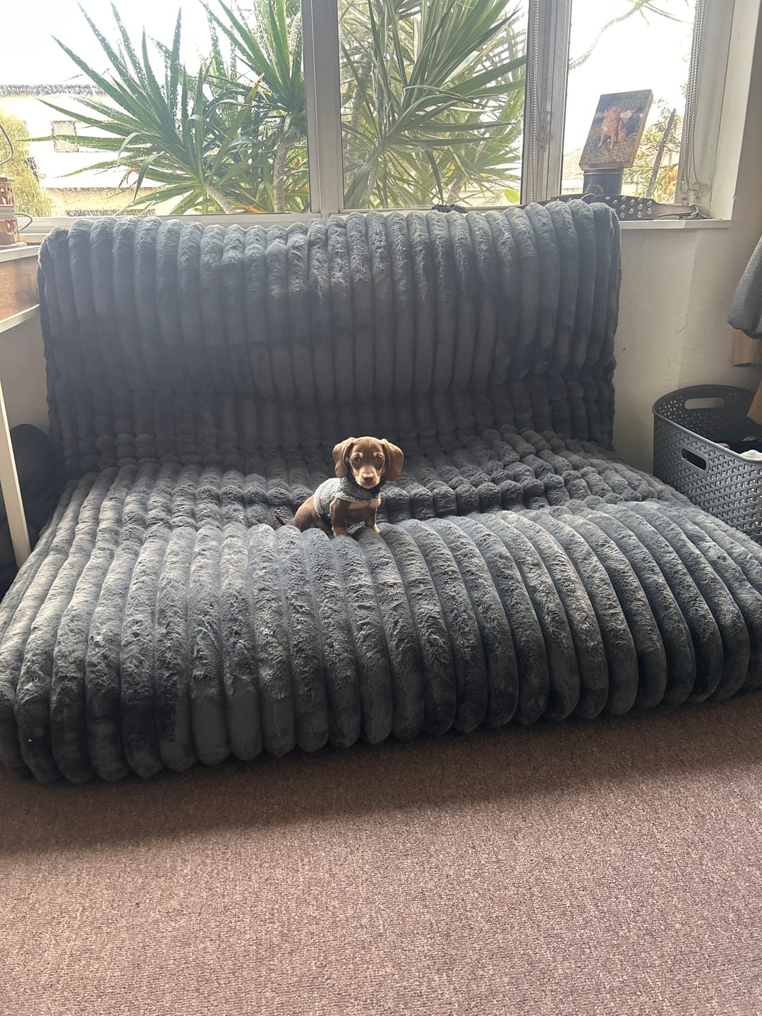 Customer photo review of Muscle Mat CloudPad