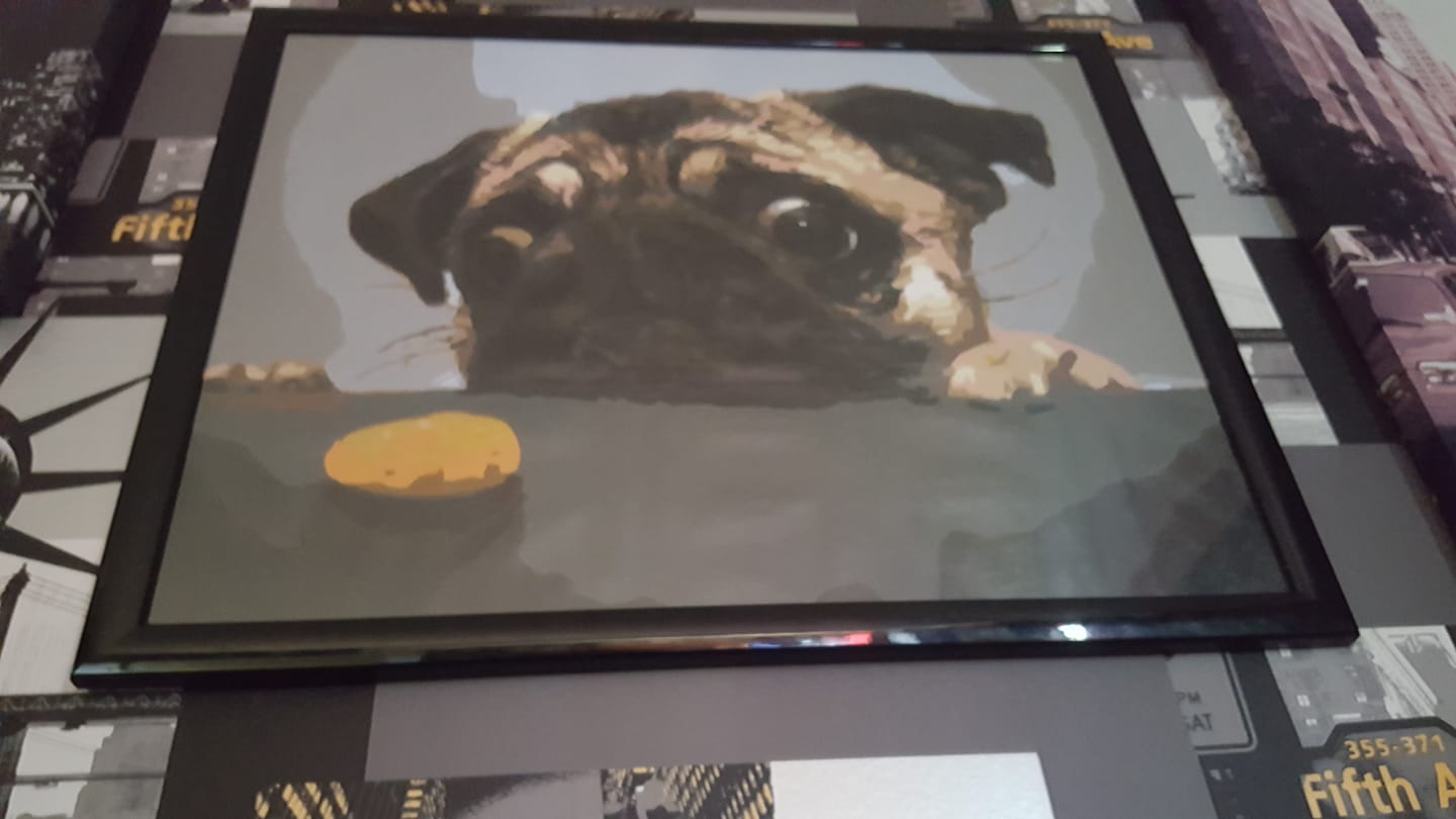 Customer photo review of Chien Carlin Gourmand