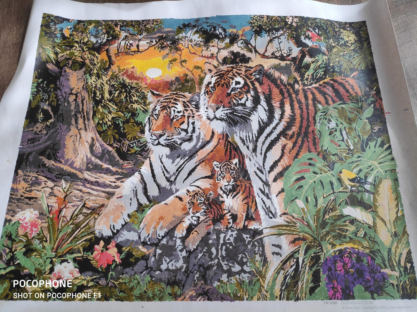 Customer photo review of Famille de Tigre