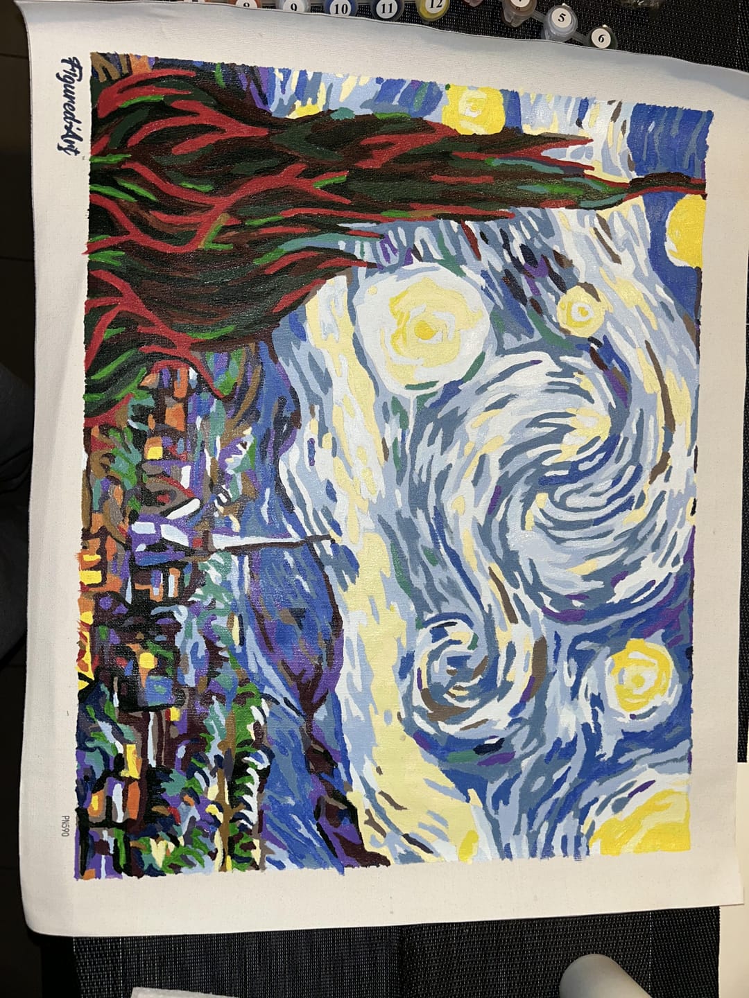 Customer photo review of Van Gogh Nuit Etoilée