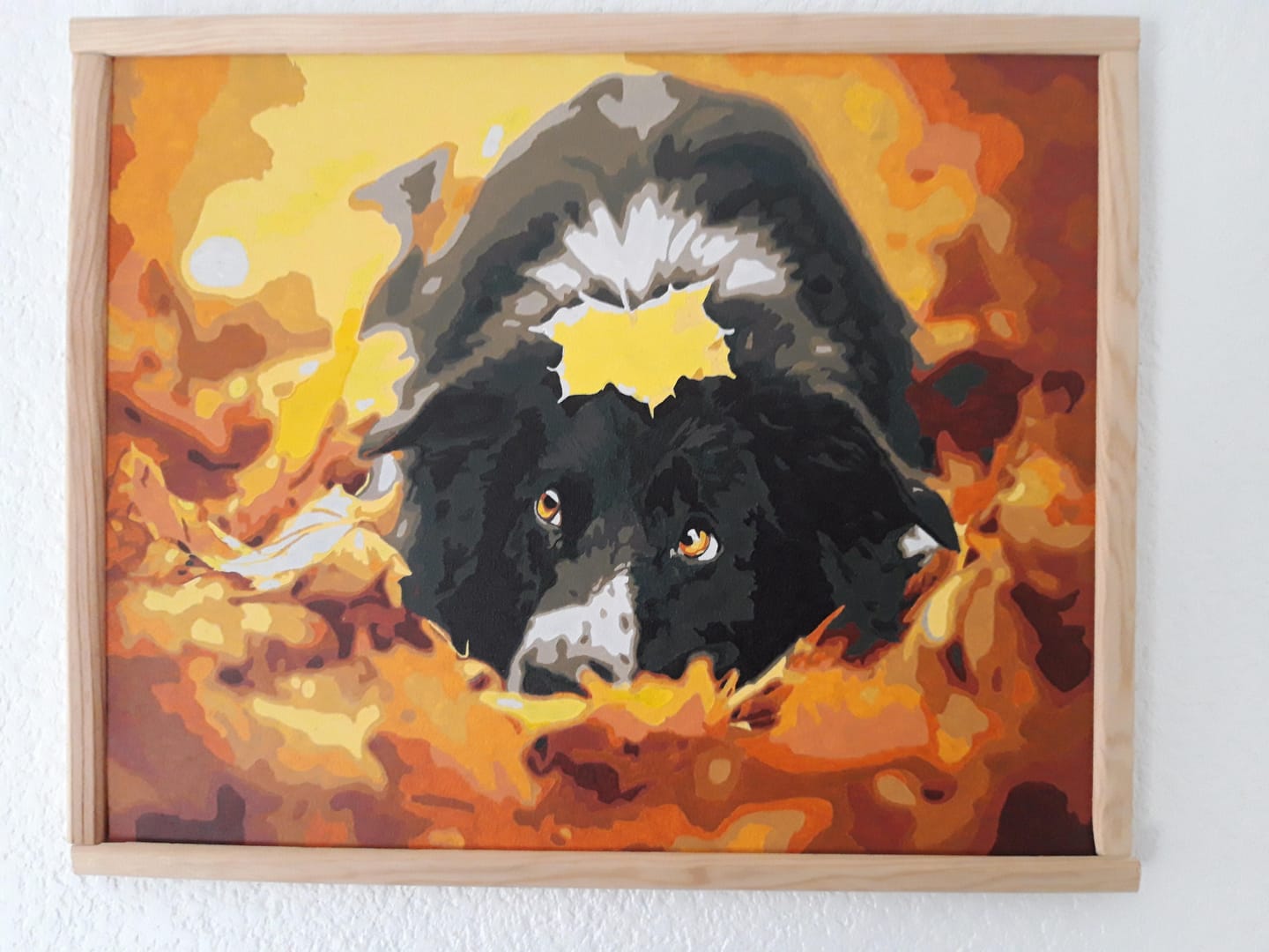 Customer photo review of Chien dans les feuilles
