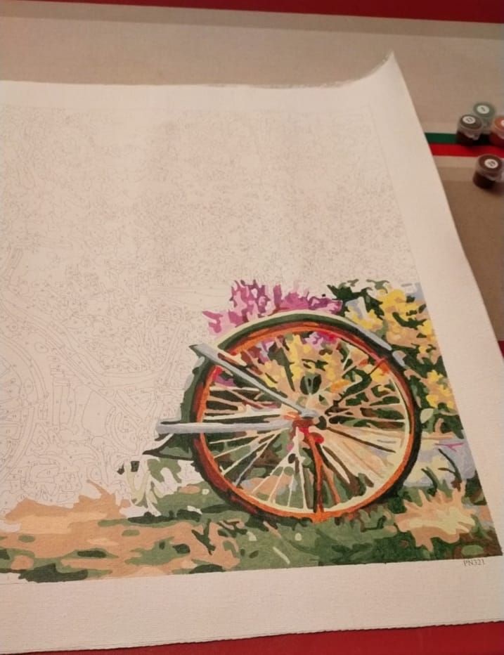 Customer photo review of Fleurs et Vélos
