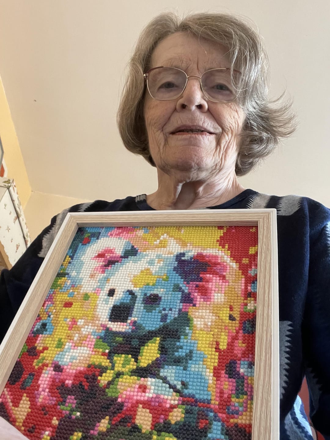 Customer photo review of Broderie Diamant - Koala Coloré Abstrait