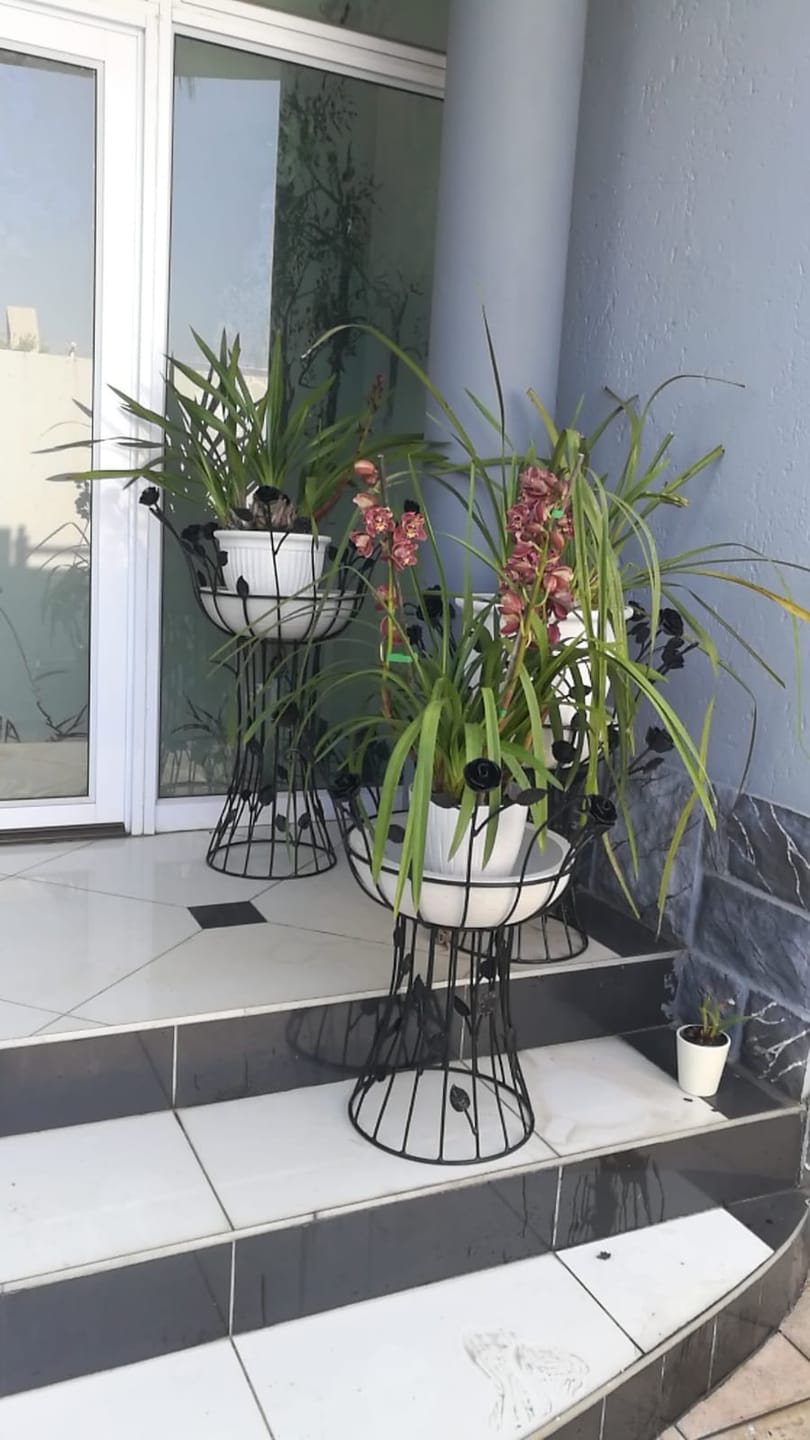 Customer photo review of European Japi Bowl Double Walled