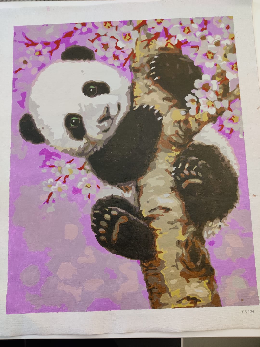 Customer photo review of Bébé Panda