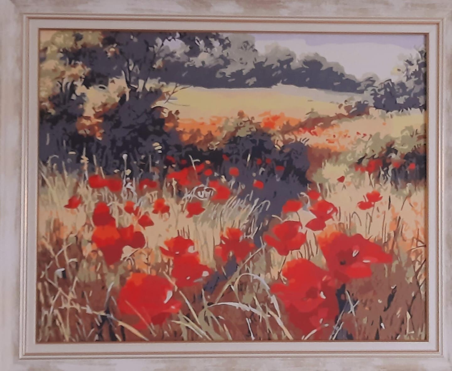 Customer photo review of Coquelicots champêtres
