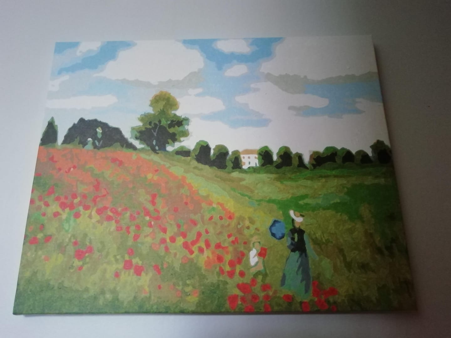Customer photo review of Ballade dans les Champs