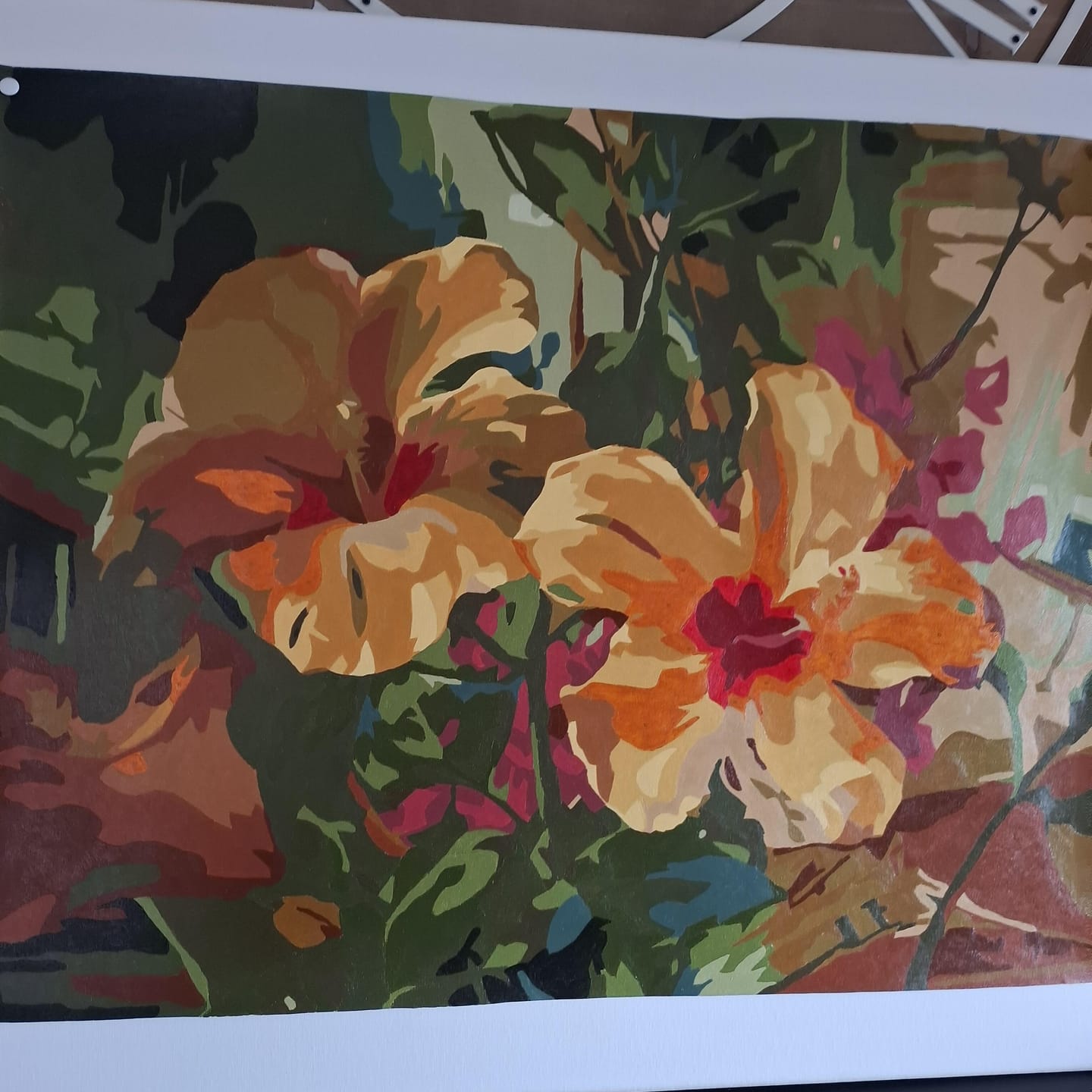 Customer photo review of Hibiscus orangés