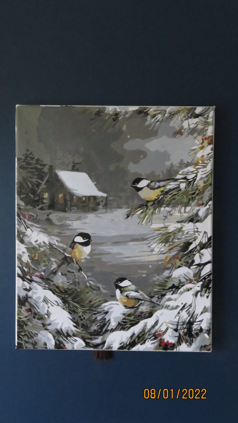 Customer photo review of Trois Oiseaux sous la Neige