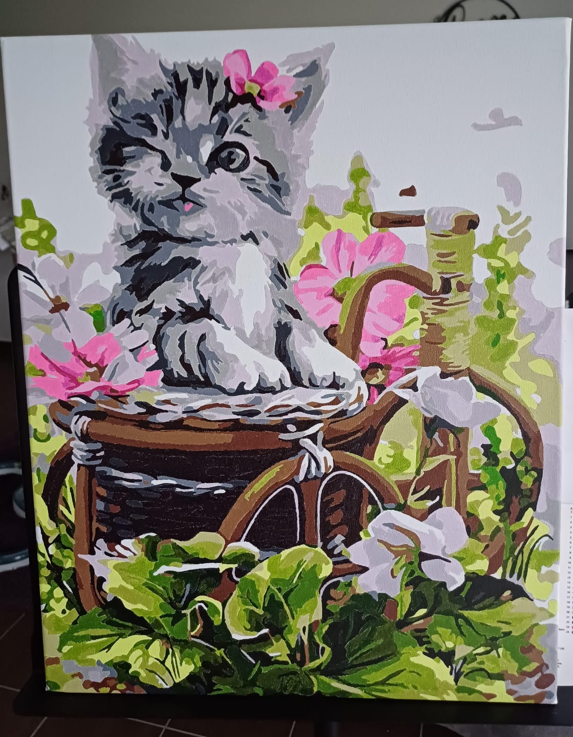 Customer photo review of Chaton gris mignon