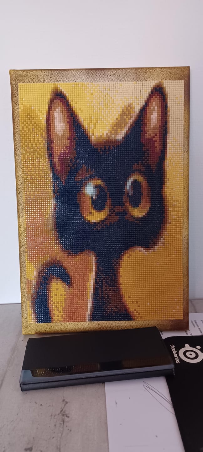 Customer photo review of Broderie Diamant - Chat étonné