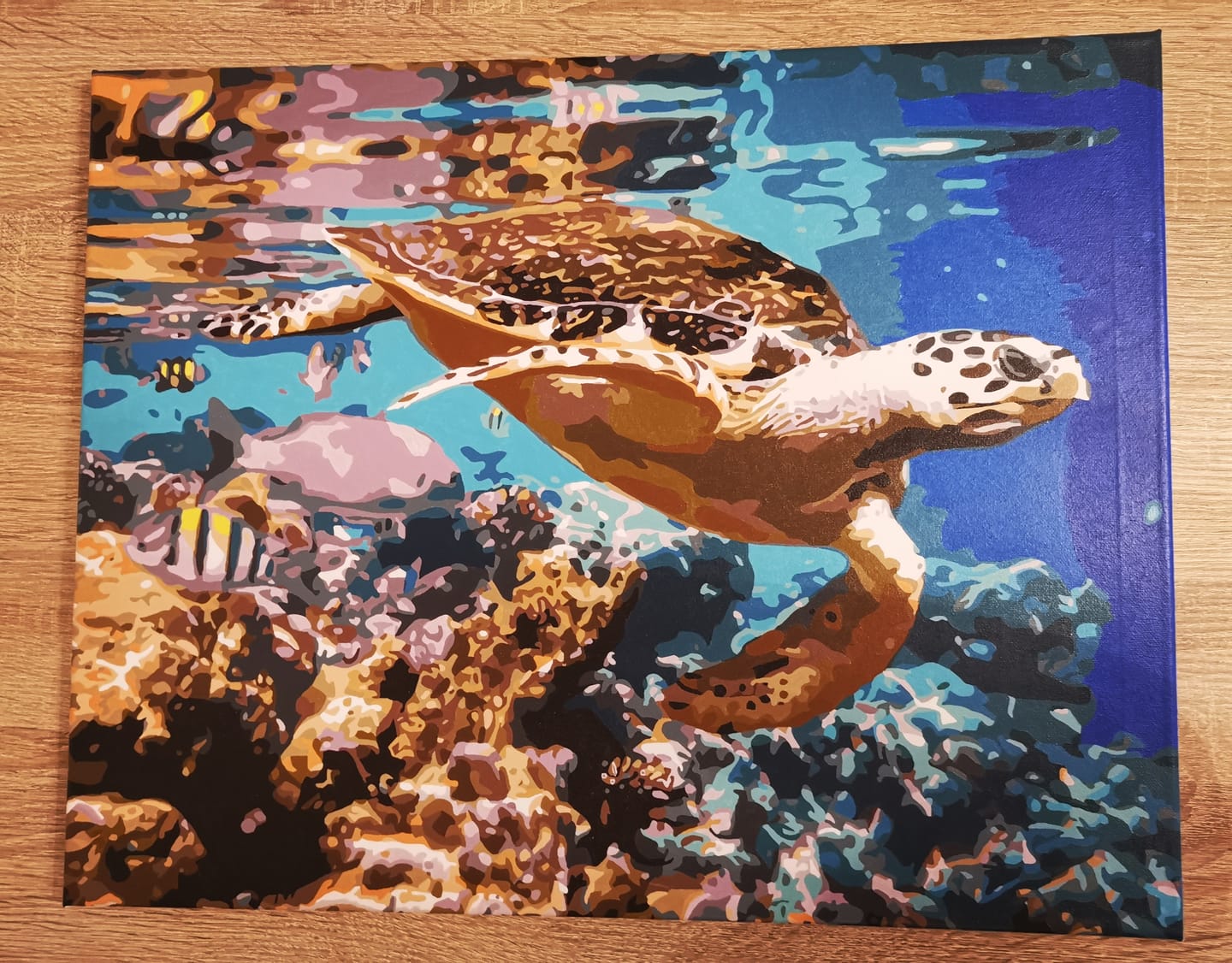 Customer photo review of Tortues au fond de l'Océan