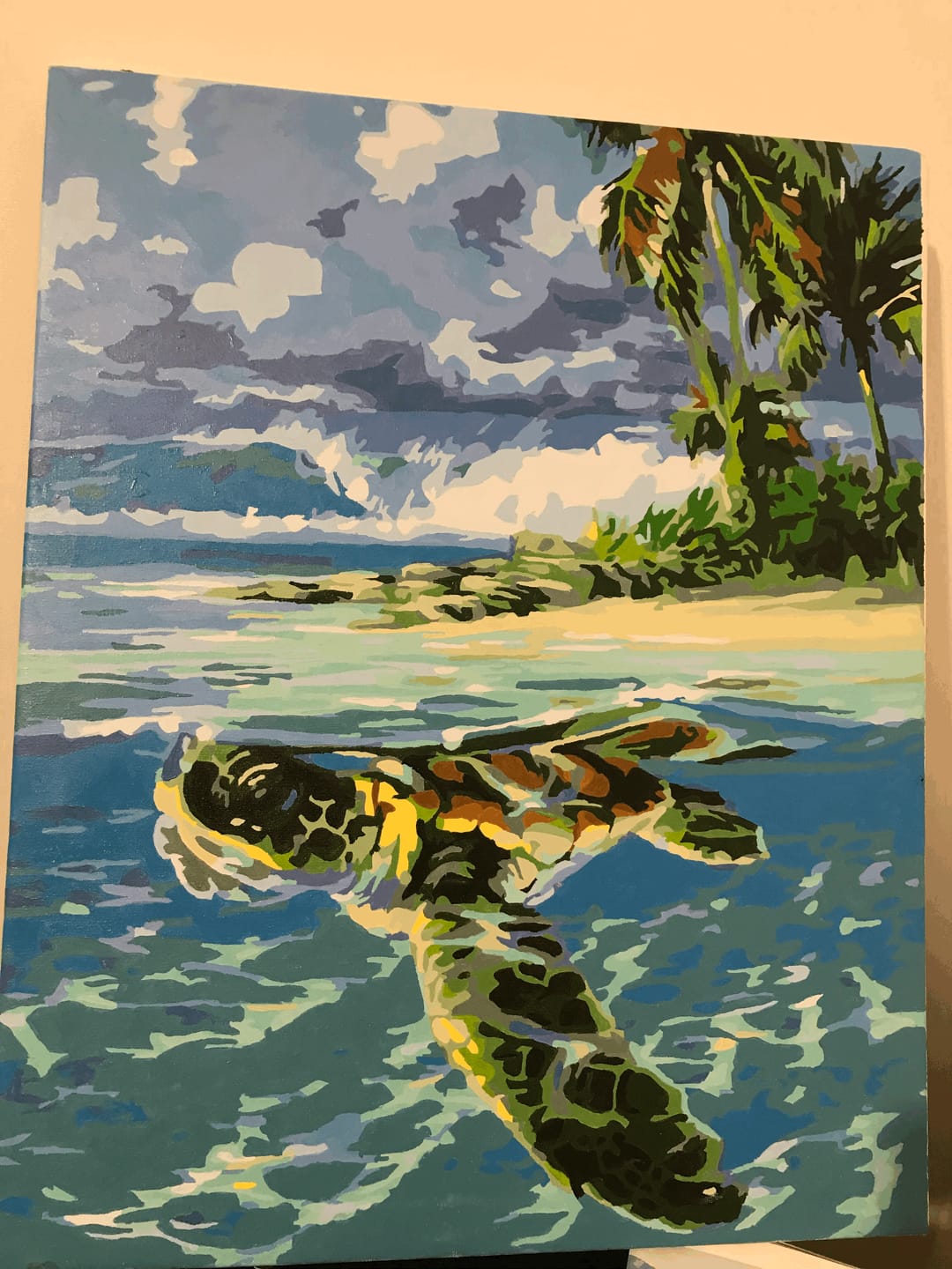 Customer photo review of Tortue détendue