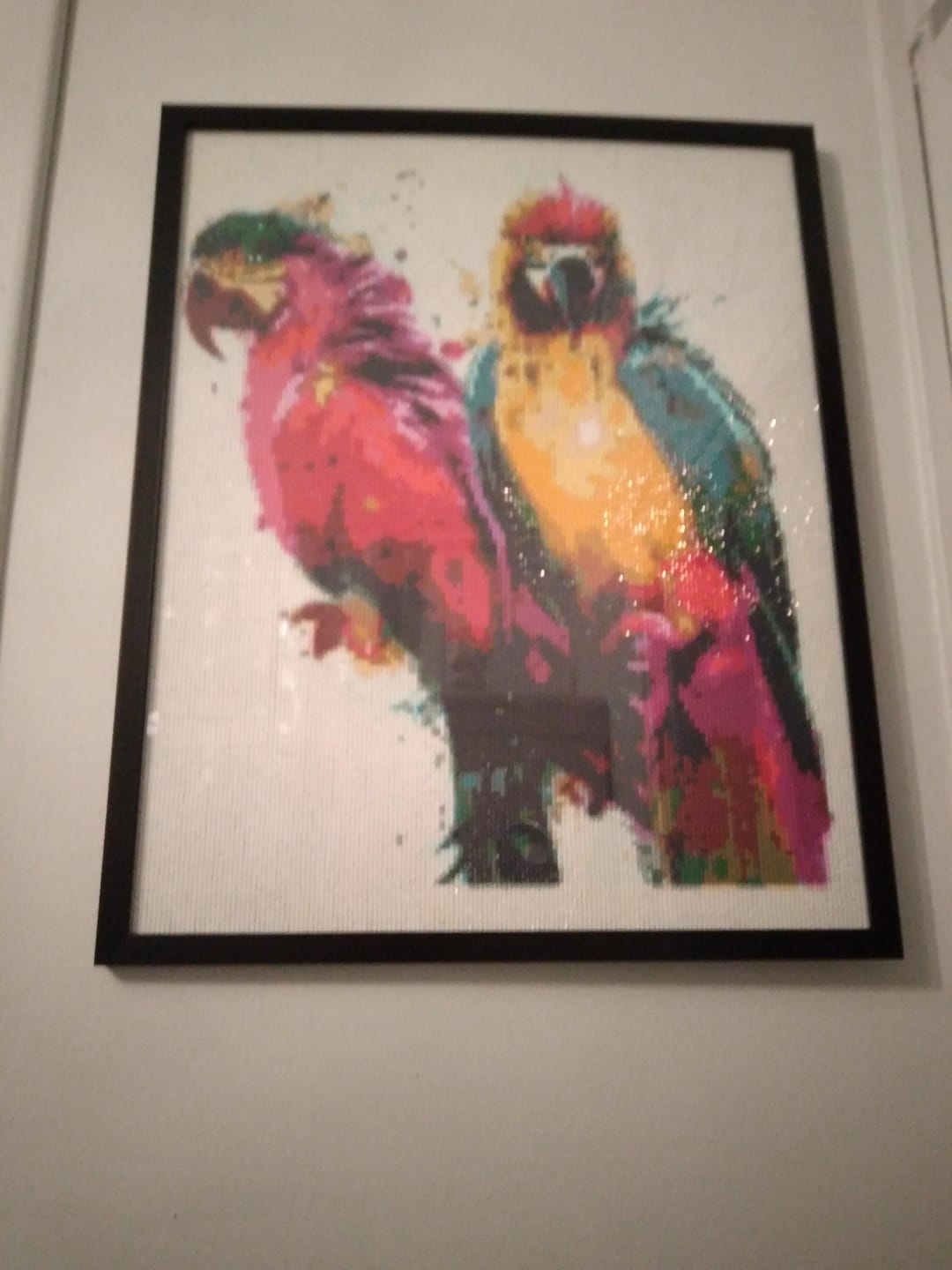 Customer photo review of Broderie Diamant - Perroquets en Peinture